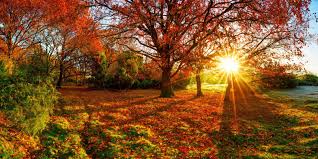 paysage d'automne en ayurveda