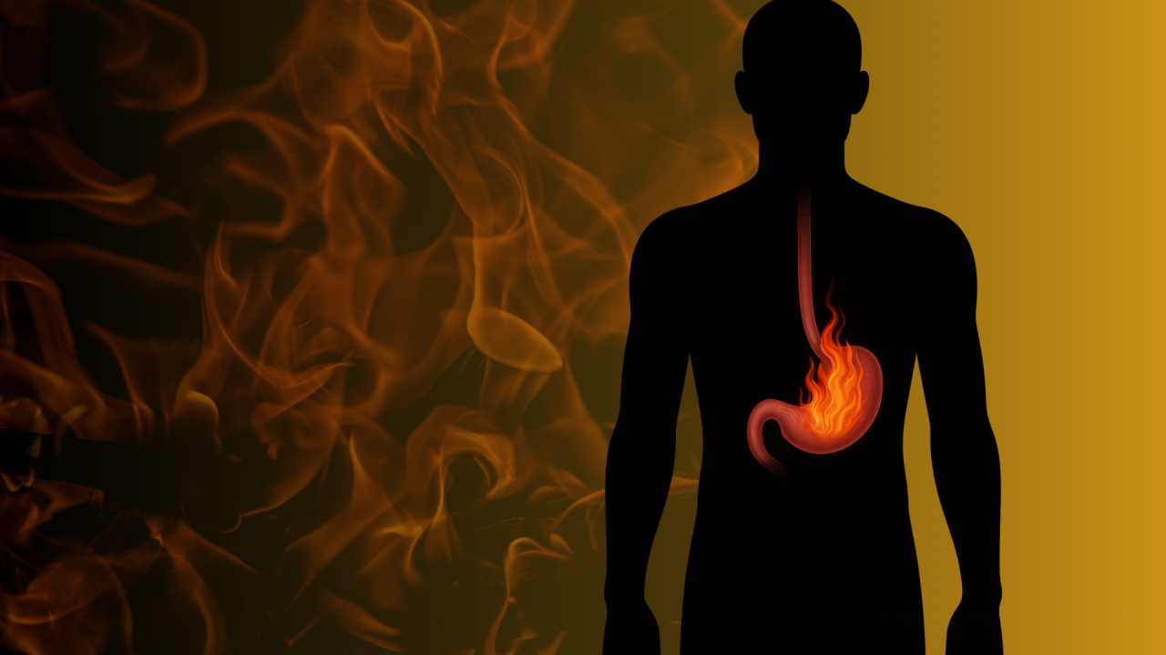 agni ayurveda